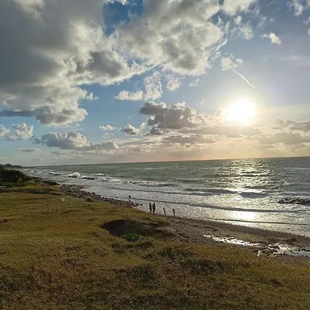 4 Star In Tatil Evi